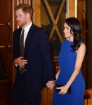 The Duke and Duchess of Sussex meet guests during the interval of a commemorativ