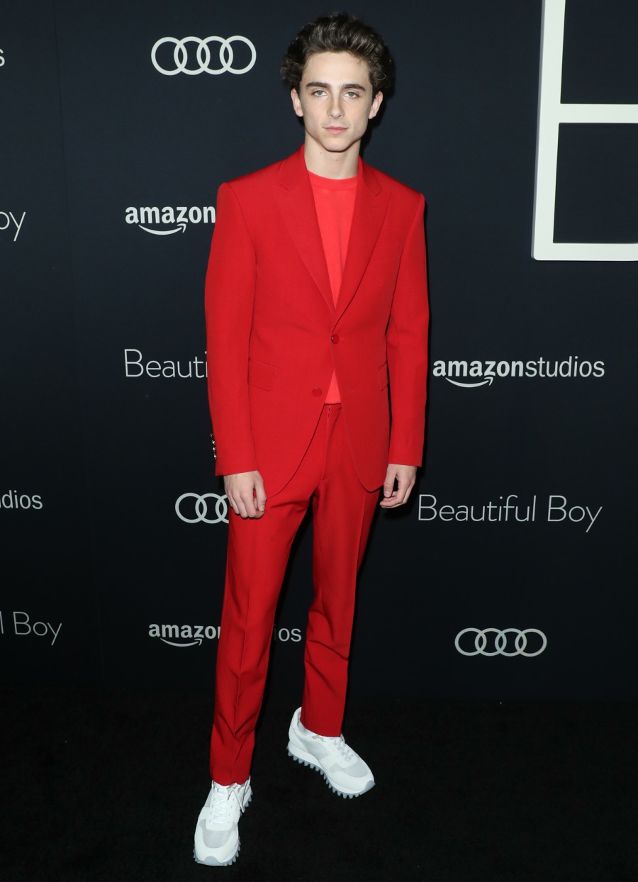 'Beautiful Boy' Los Angeles Premiere - Arrivals