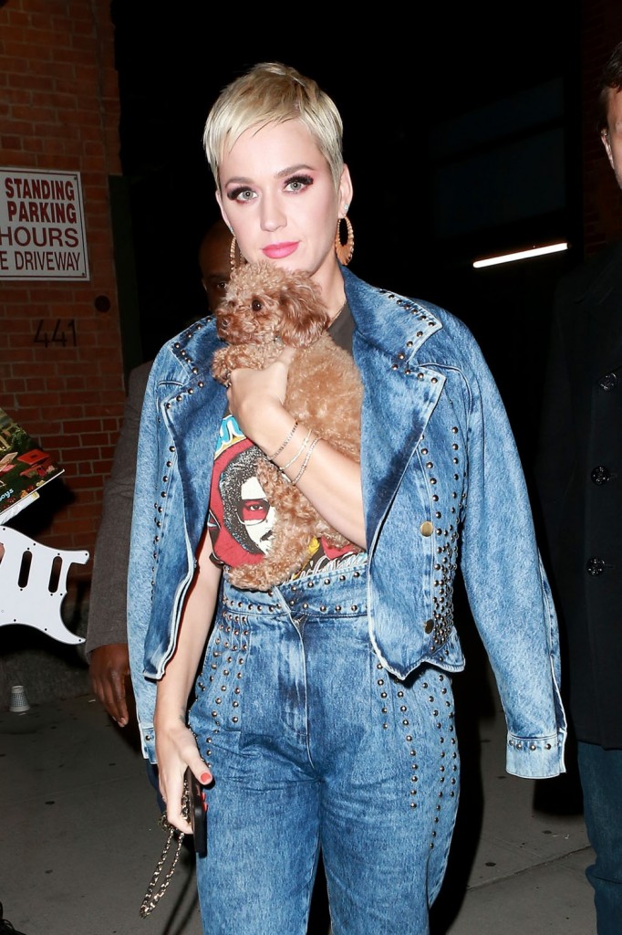 Katy Perry is seen leaving American Idol auditions with her dog Nugget