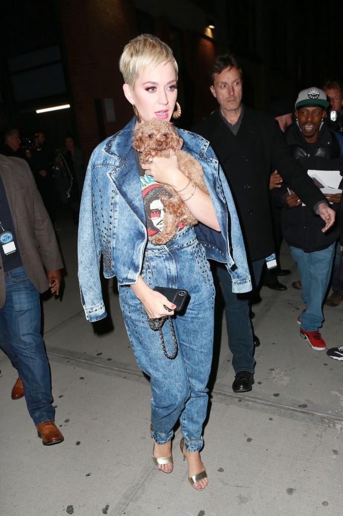 Katy Perry is seen leaving American Idol auditions with her dog Nugget