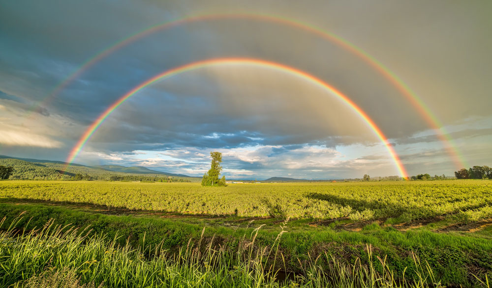 agriculture-clouds-cloudy-1542495