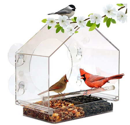 amazon_birdfeeder