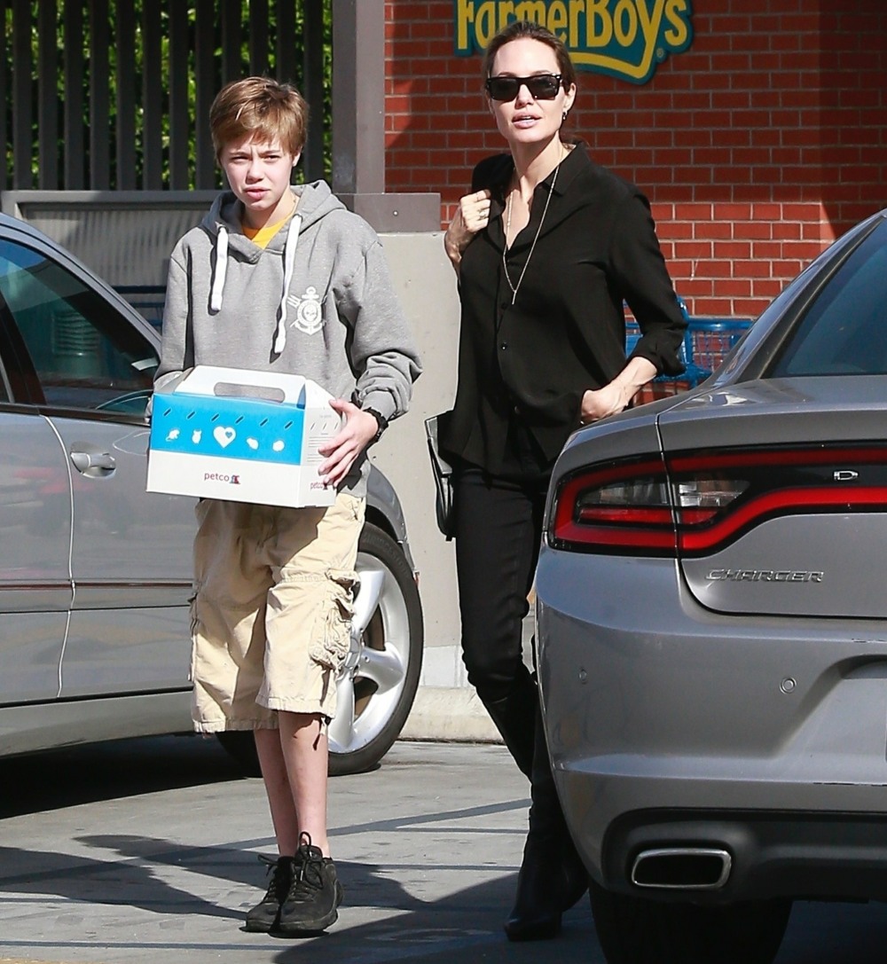 Angelina Jolie buys a new pet at Petco with Shiloh