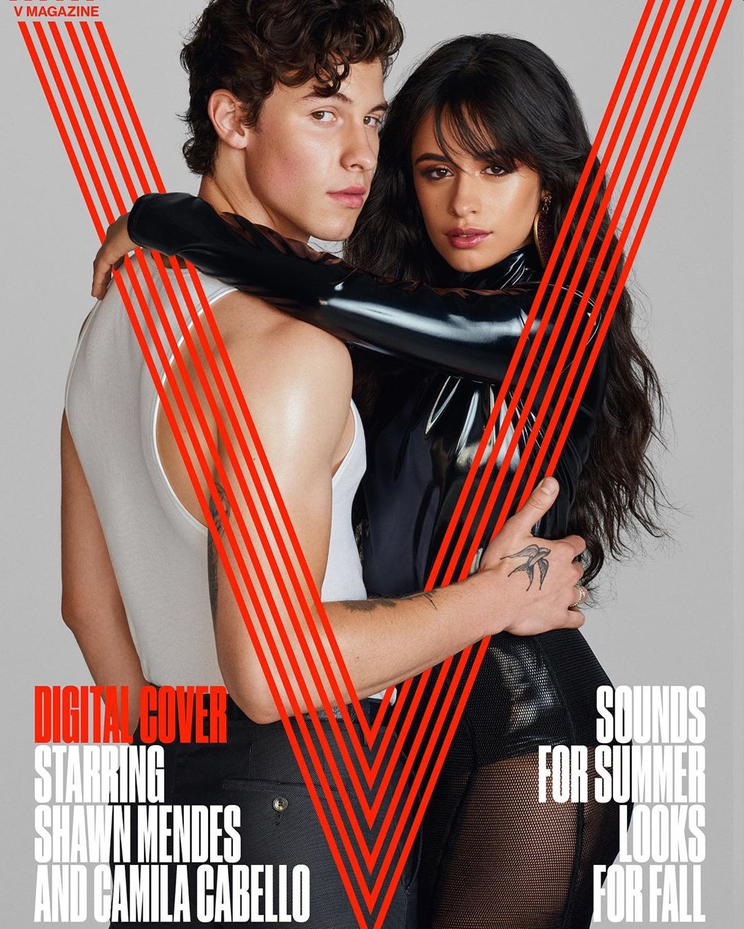 Camila Cabello broke up with her boyfriend, was it because of Shawn Mendes??
