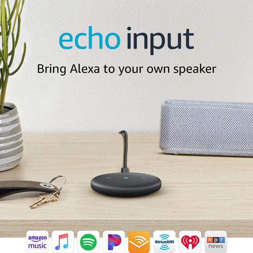 Amazon_EchoInput