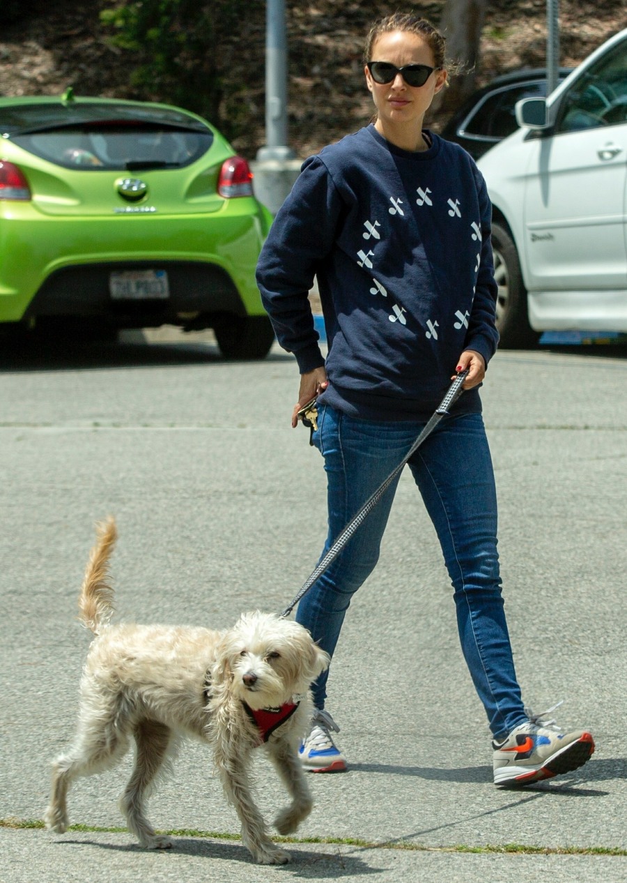 Natalie Portman brings her adorable daughter and their pet pup to the park
