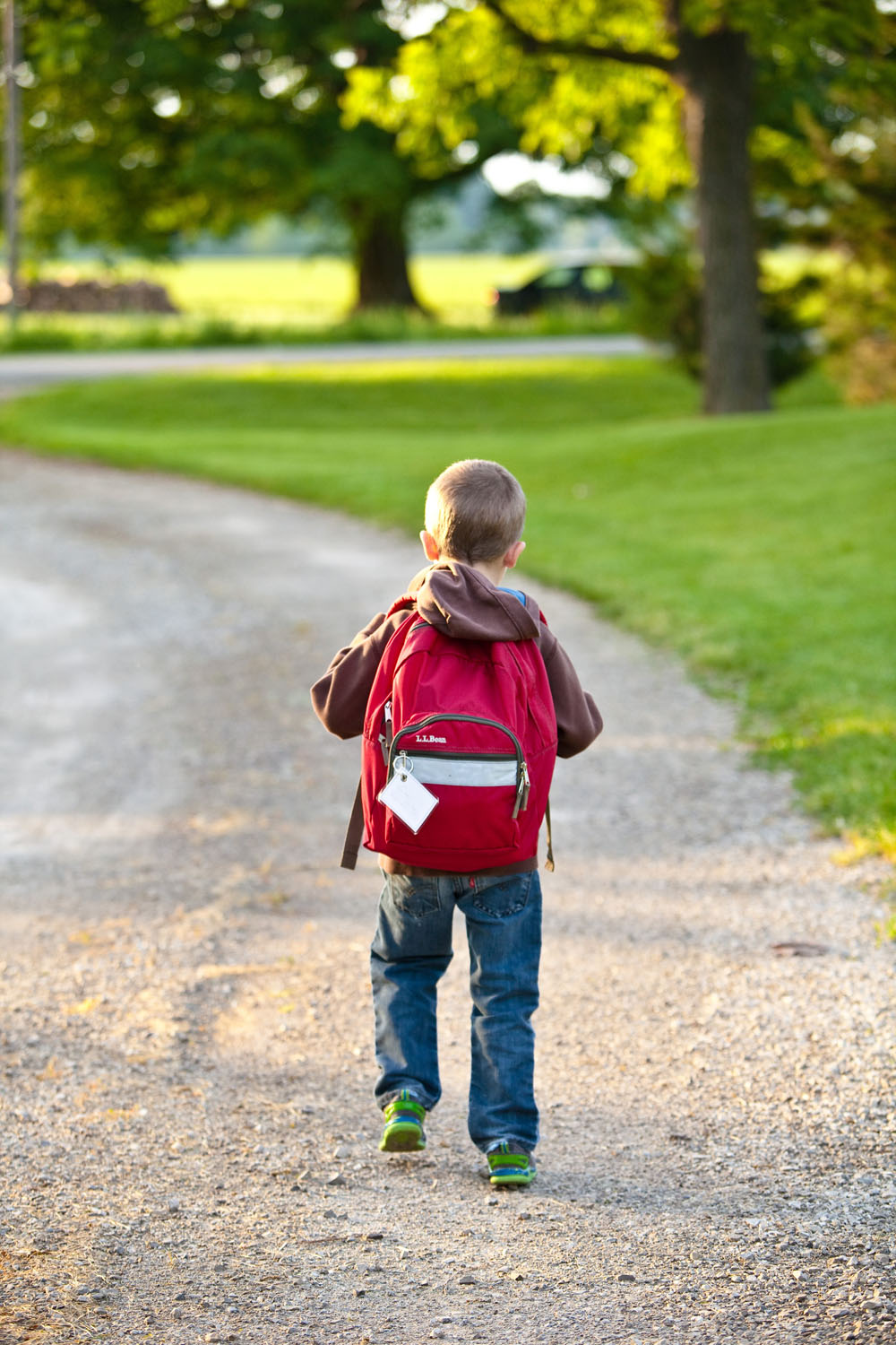 back-view-backpack-boy-207697