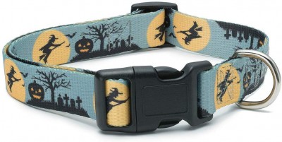 Amazon_DogHalloweenCollar