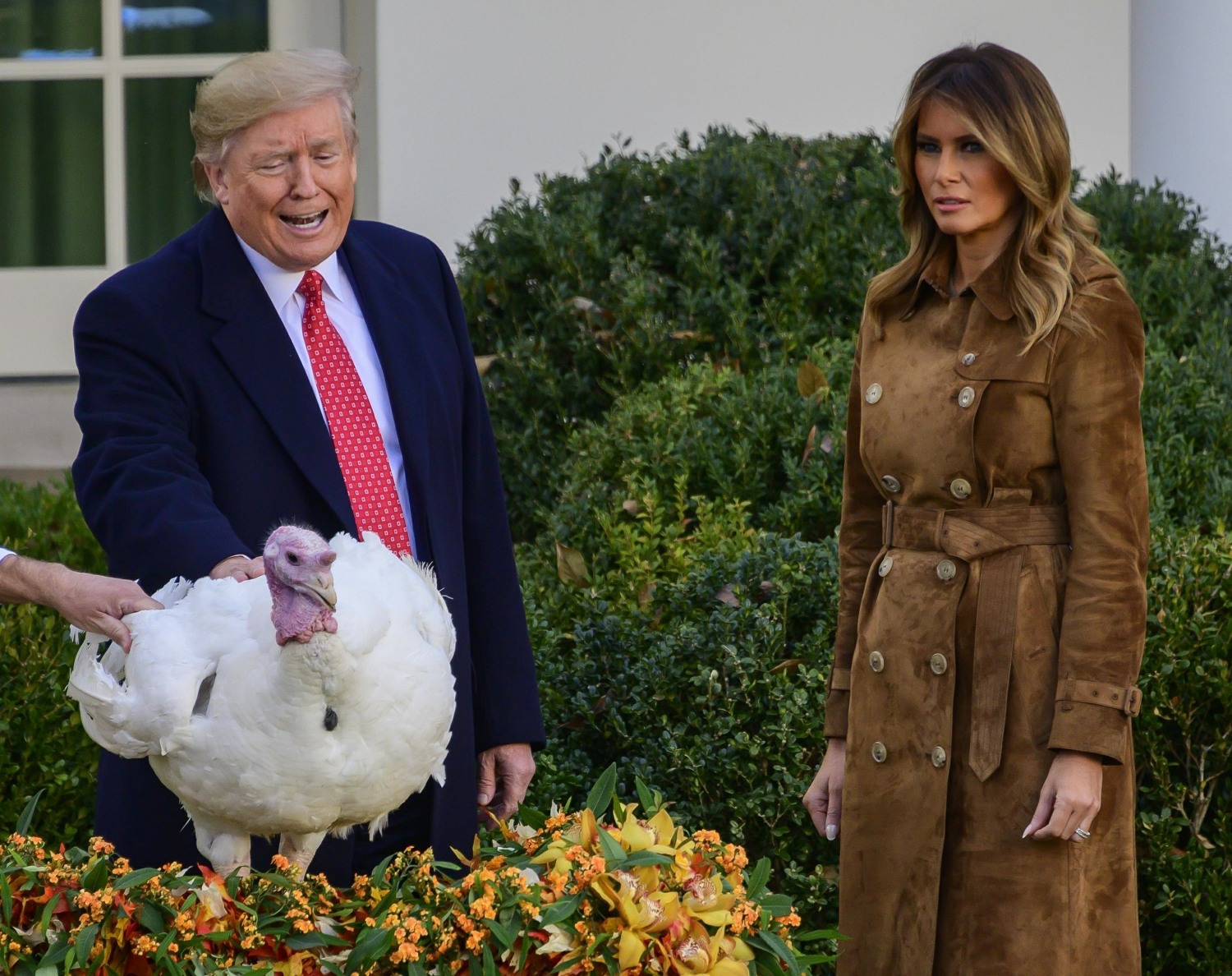 Trumps Present 2019 National Thanksgiving Turkey