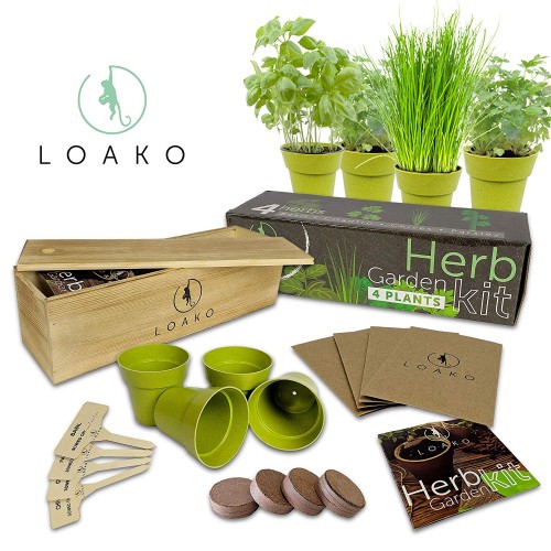 Amazon_HerbGardenKit