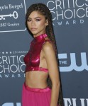 Zendaya at arrivals for The 25th Annual...