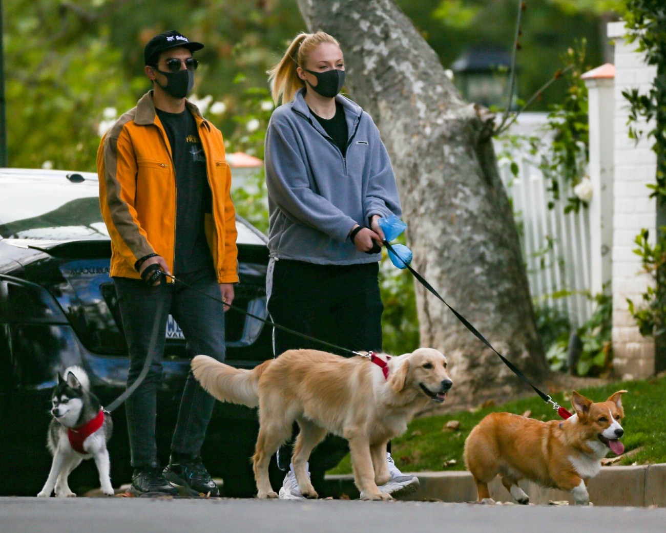 Joe Jonas and Sophie Turner keep up with their Dog Walks
