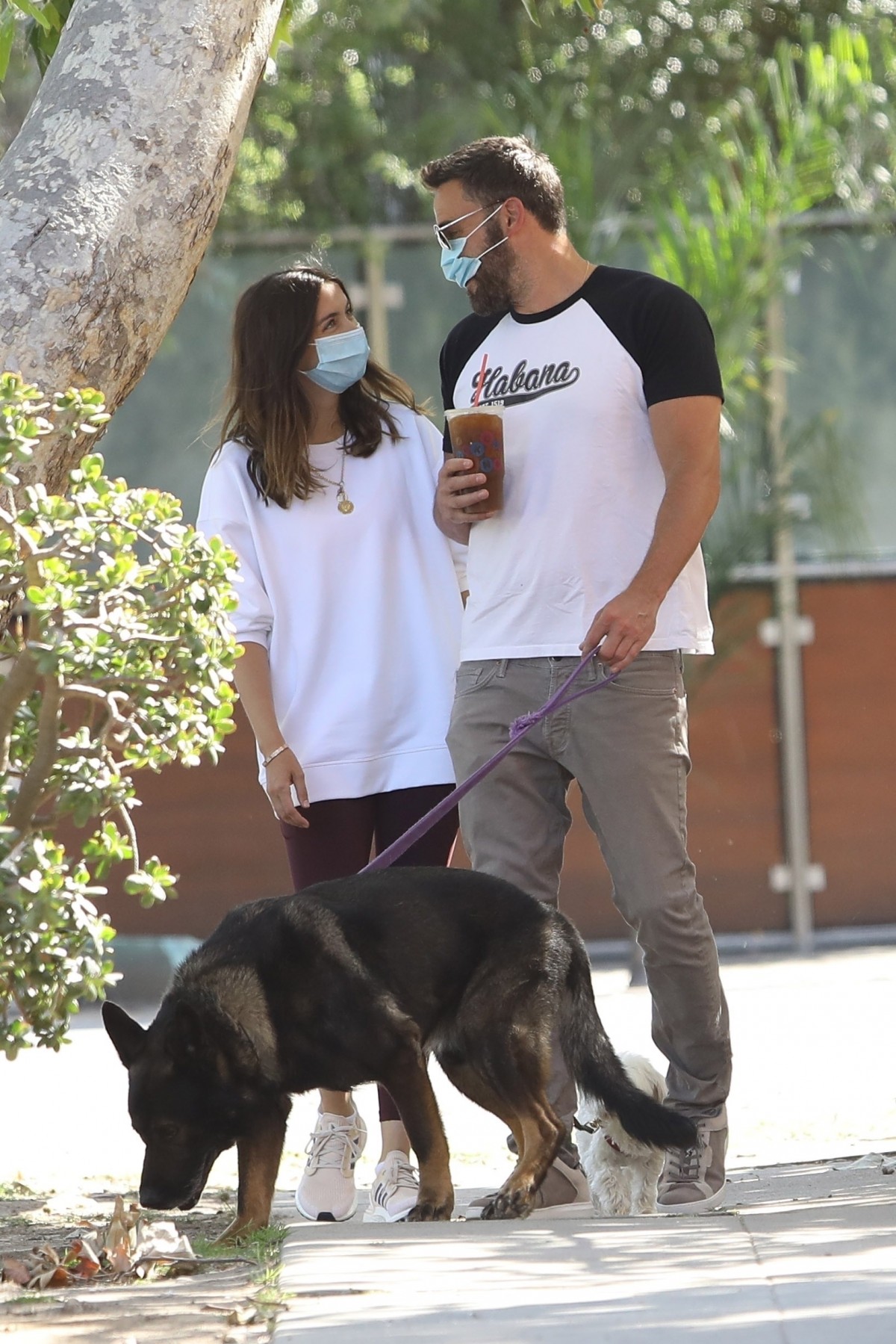 Ben Affleck and Ana de Armas clutch hands on morning Dog Walk