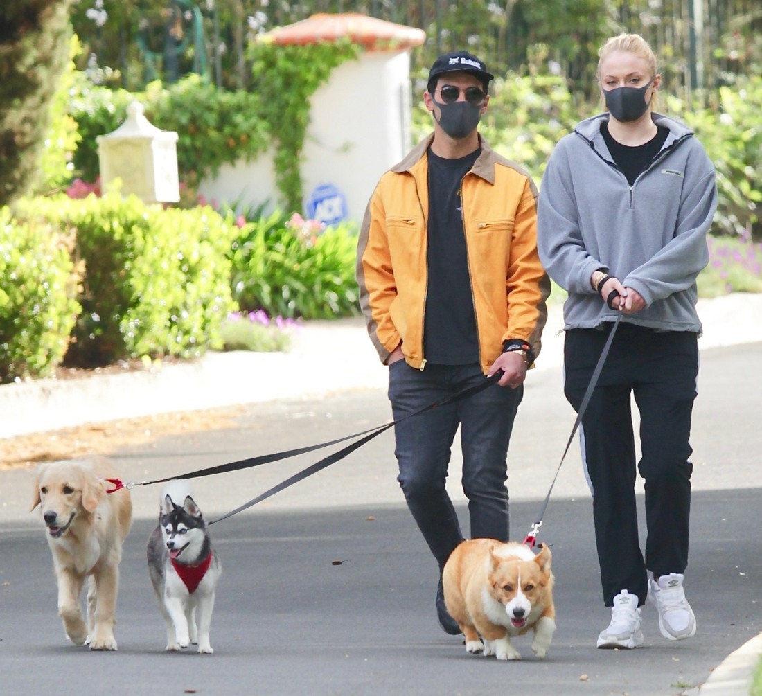 Joe Jonas steps out with pregnant Sophie Turner to walk the dogs