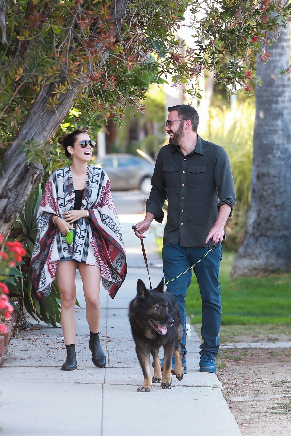 Ben Affleck and Ana de Armas take their dogs out for an evening stroll