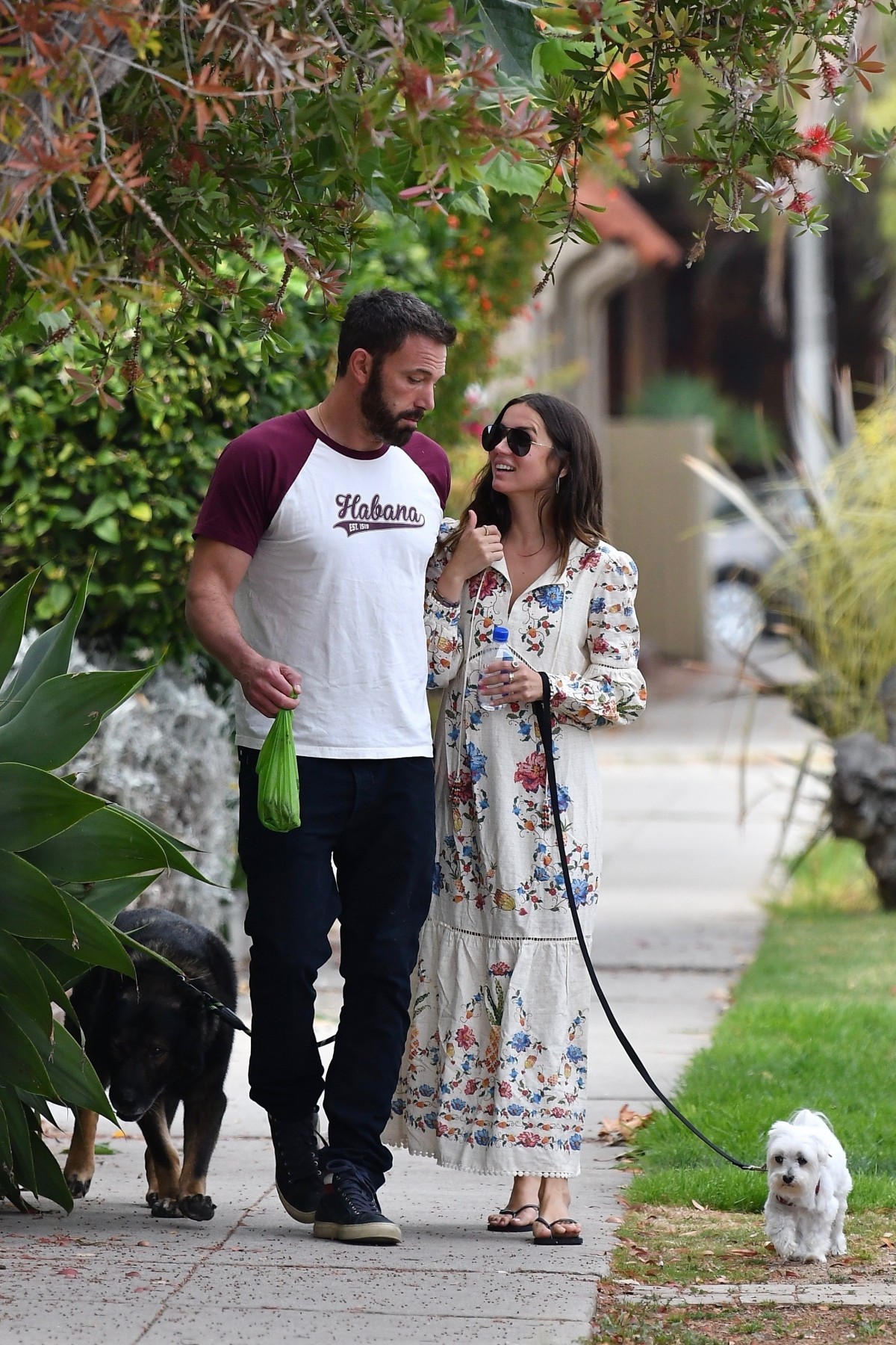 Ben Affleck and Ana De Armas enjoy a nice afternoon walk with their dogs