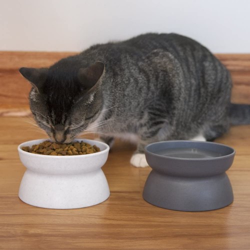 Amazon_CatBowl