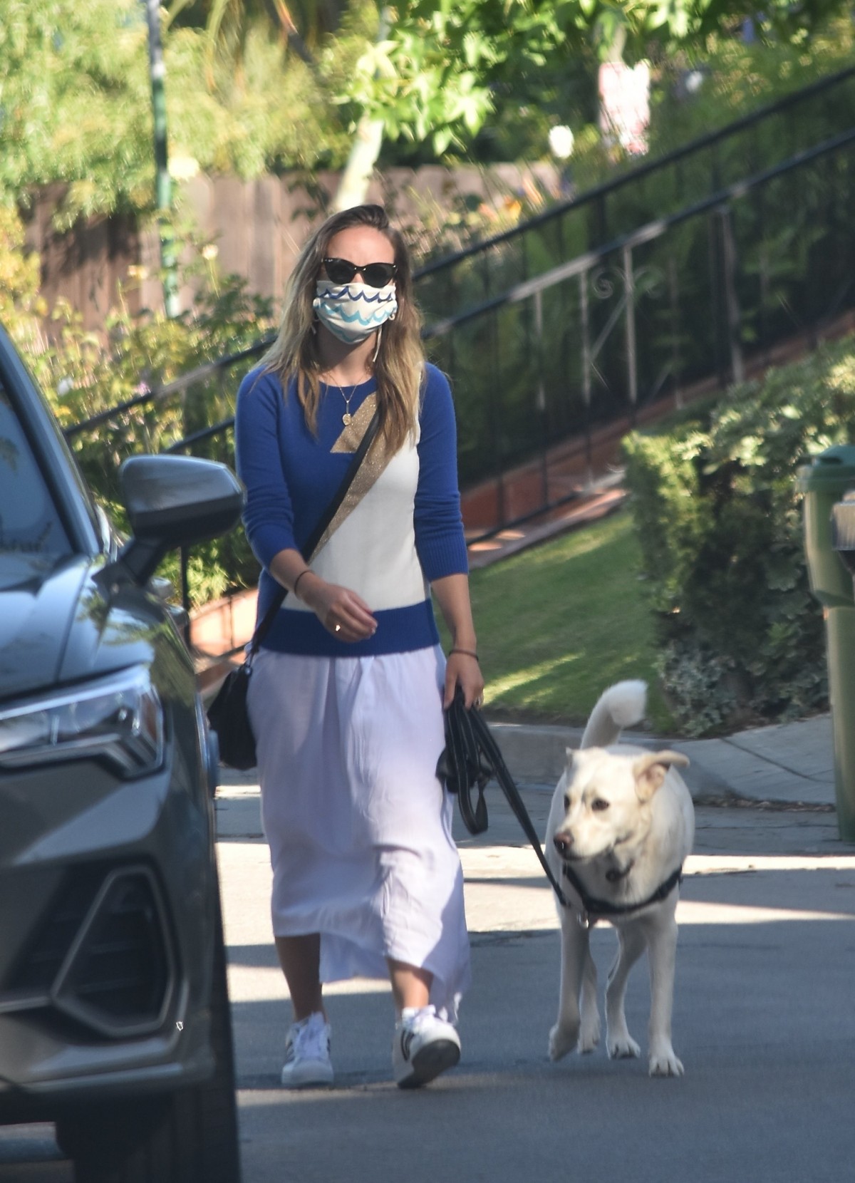 Olivia Wilde wears a stylish mask as she walks her dog in LA