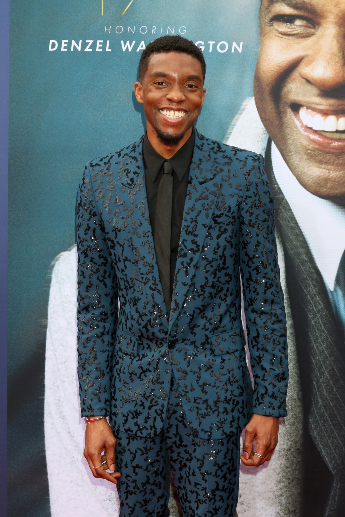 Chadwick Boseman at arrivals for AFI Lif...