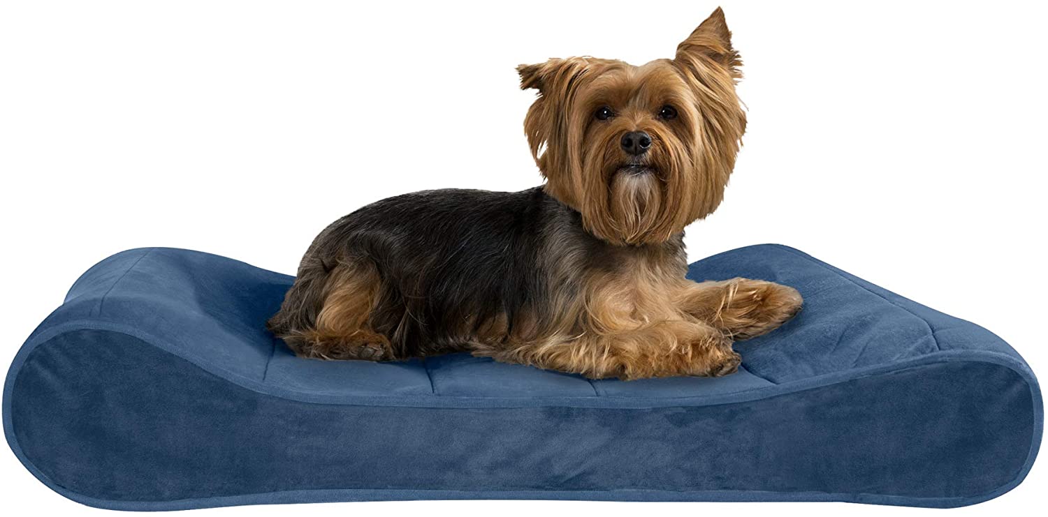 Amazon_DogBed