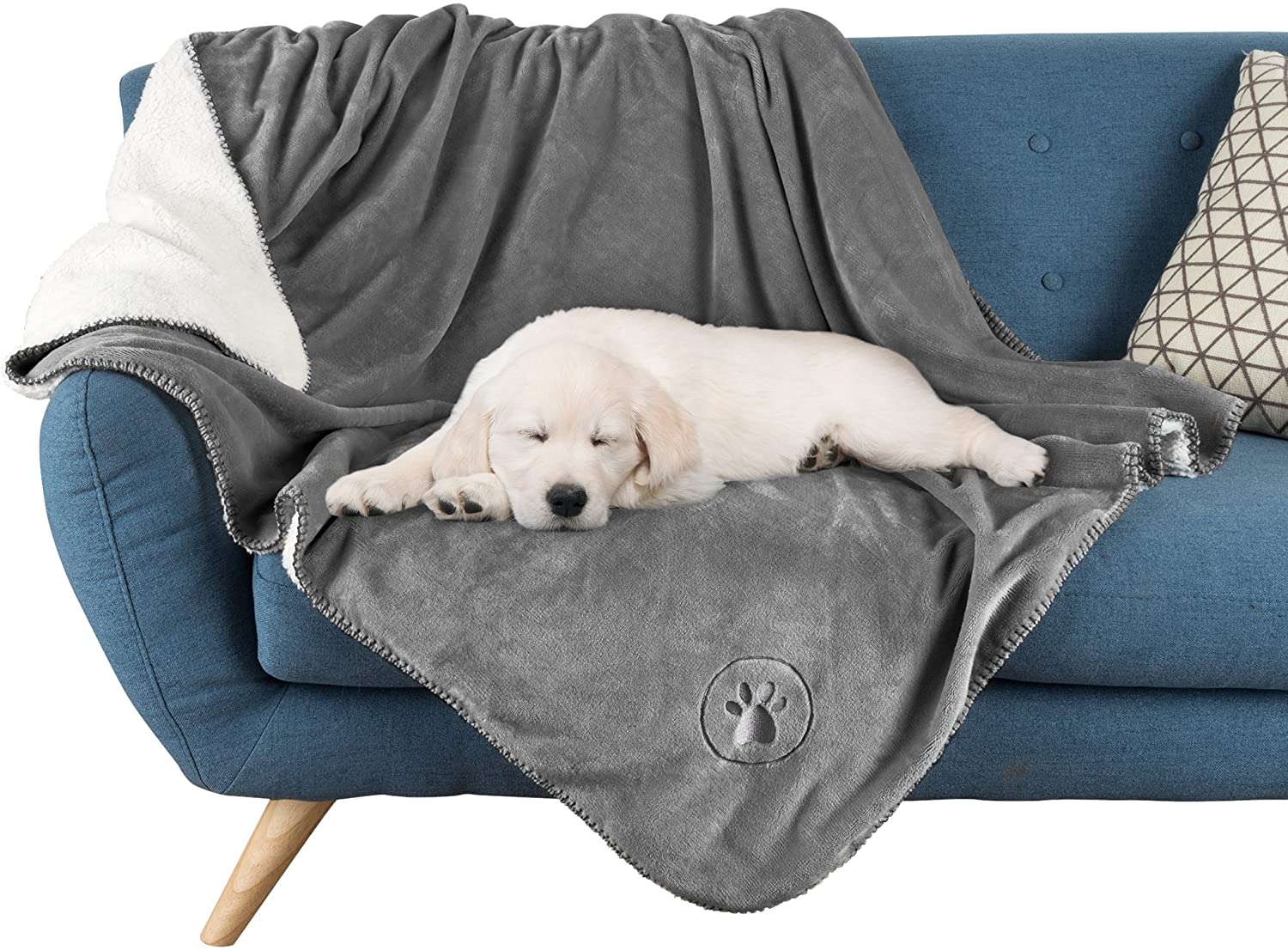 Amazon_DogBlankie