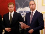 Britain's Prince William, Duke of Cambridge (R) and Britain's Prince Harry, Duke of Sussex,  host a reception to officially open the 2018 Illegal Wildlife Trade Conference at St James' Palace in London on October 10, 2018. - The 2018 Illegal Wildlife Trade Conference is the fourth such international conference bringing together heads of state, ministers and officials from nearly 80 countries, alongside NGOs, academics and businesses, to build on previous efforts to tackle this lucrative criminal trade. The conference is being hosted by the UK Government from 11th – 12th October 2018.