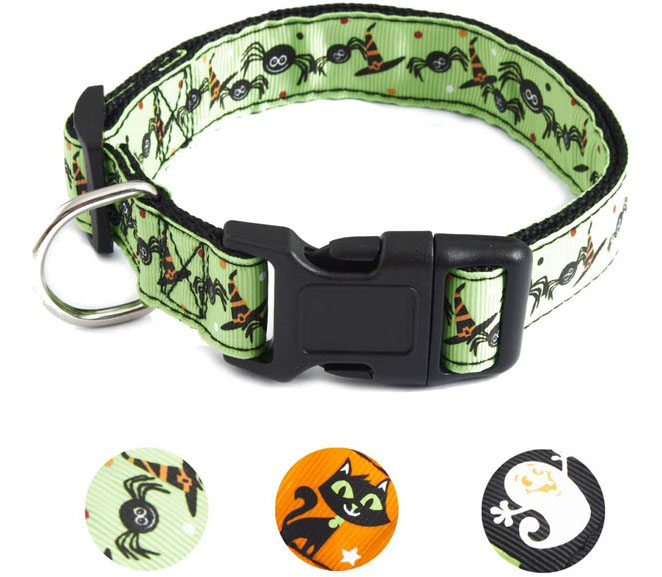 Amazon_HalloweenDogCollar