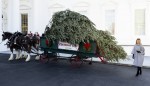 First Lady Melania Trump Accepting Delivery of the White House Christmas Tree