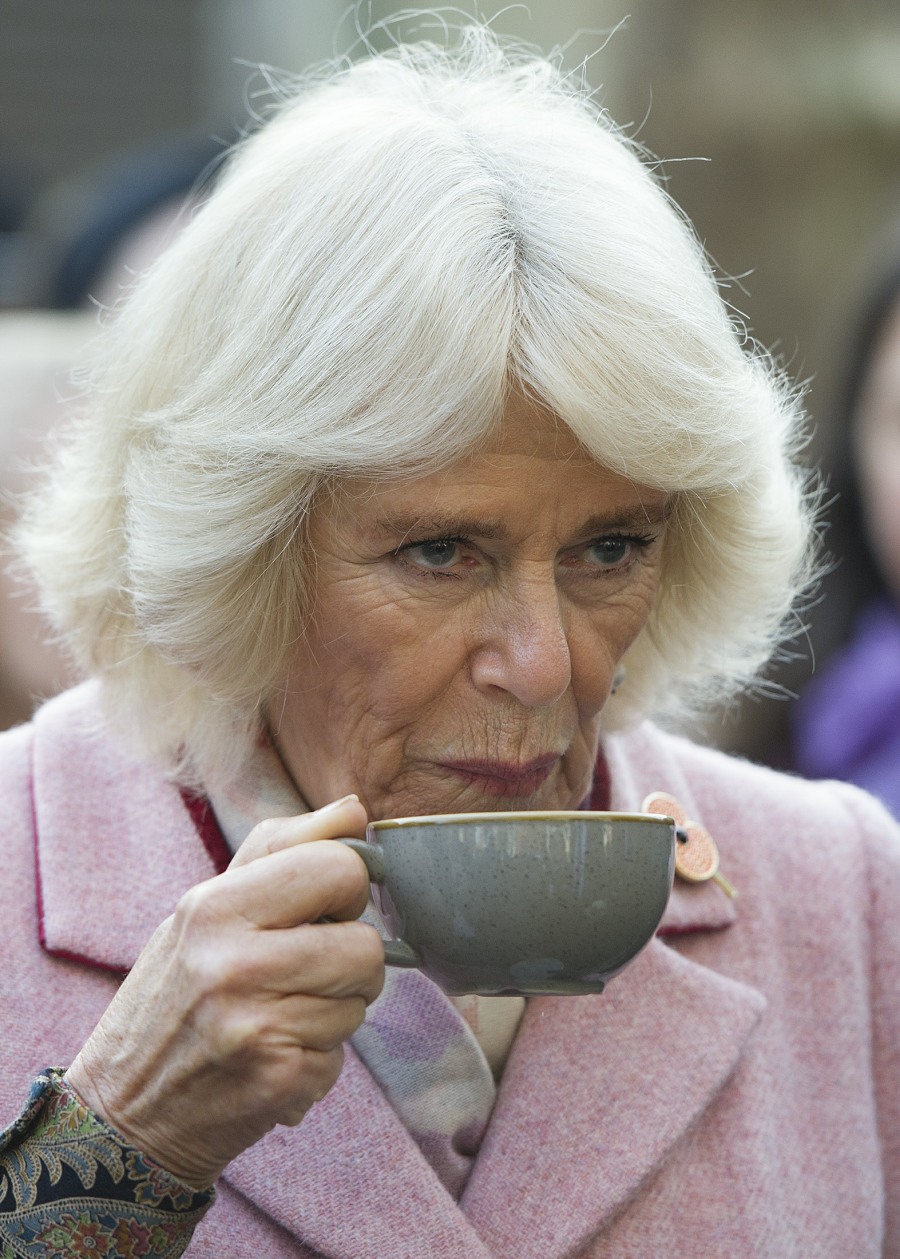 The Prince of Wales and The Duchess of Cornwall visiting Swiss Cottage Farmers Market On arrival at the Farmers' Market, Their Royal Highnesses will watch a performance by a band from Camden-based Young Music Makers, before visiting stalls and meeting stal