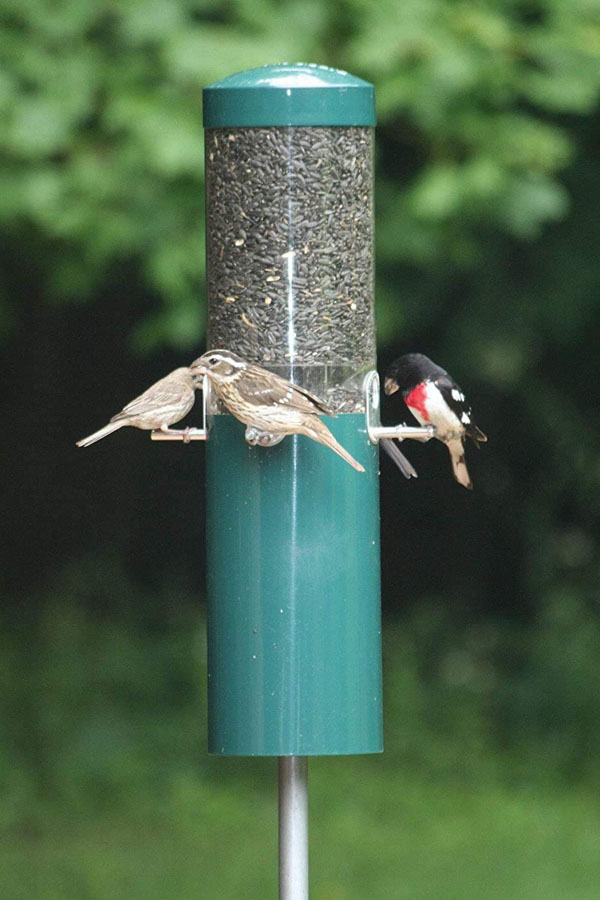 Amazon_SquirrelResistantBirdFeeder