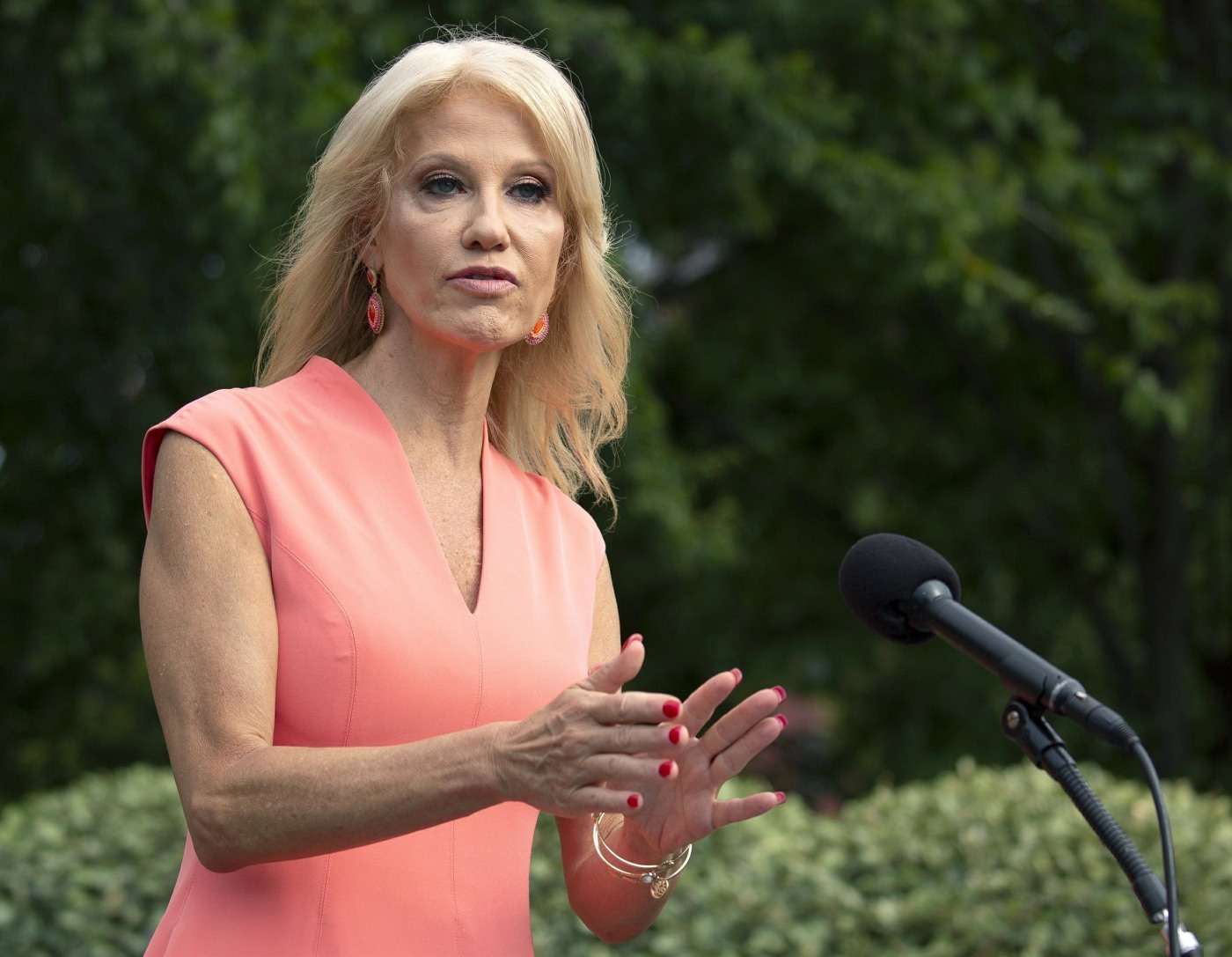 Kellyanne Conway Speaks to Reporters