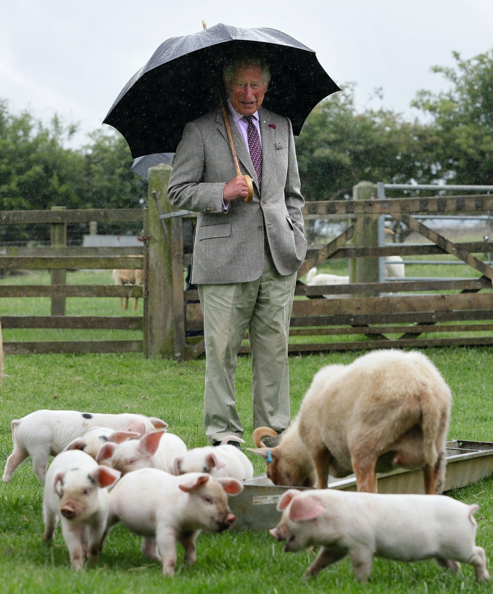 Prince Charles visits Cotswold Farm Park