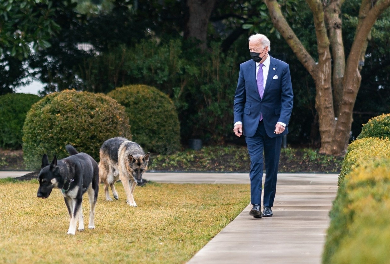 President Joe Biden with his dogs Major and Champ in the Rose Garden