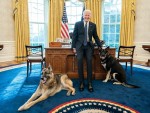 Joe Biden's dogs get taken to Delaware after a 'Biting Incident' at the White House **FILE PHOTOS**