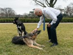 President Joe Biden with his dogs Major and Champ in the Rose Garden