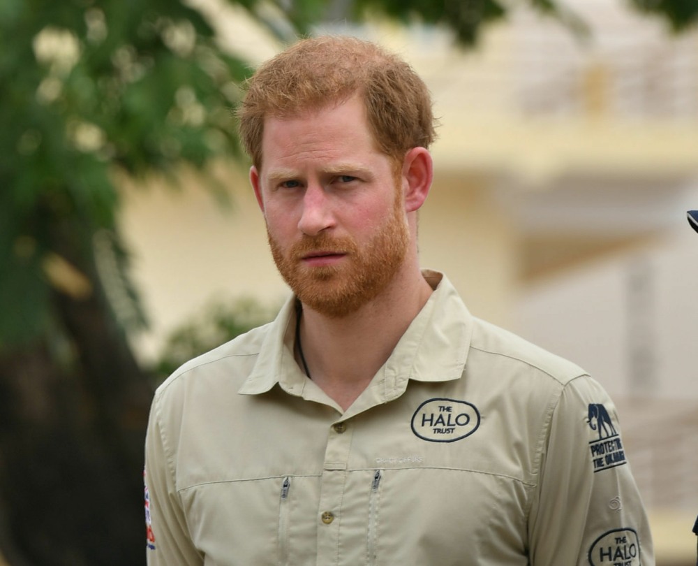 Royal visit to Africa - Day Five