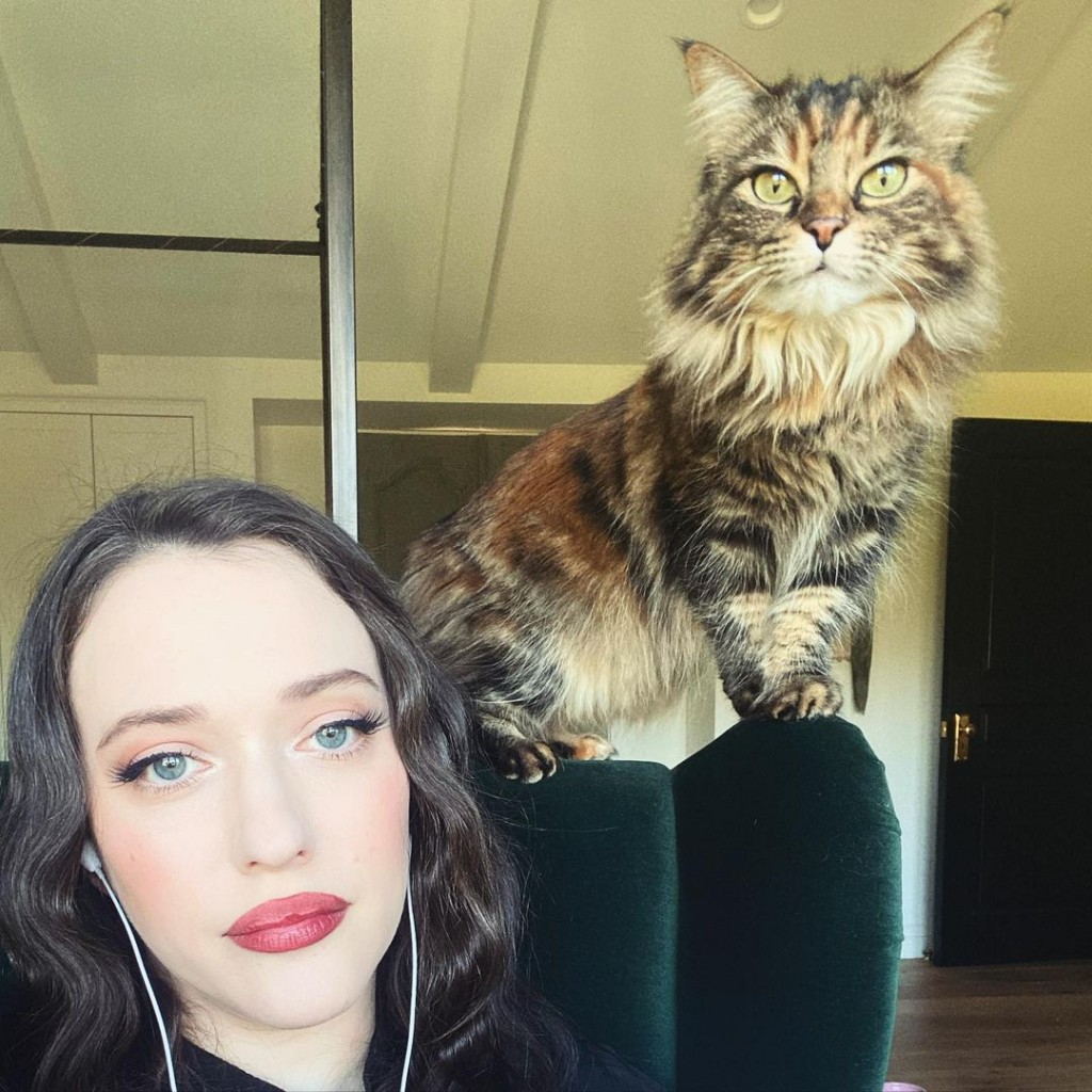 Kat_millie_perched