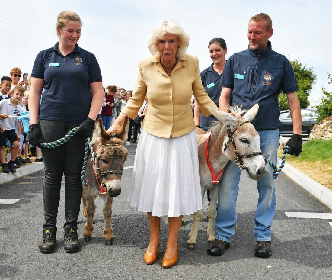Royal visit to Devon
