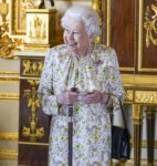 kaltak | Kraliçe Elizabeth, 96. doğum günü portresi için iki süslü midilli ile poz verdi.