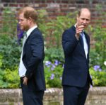 kaltak | Wharfe: Prens Harry kraliyet ailesine geri dönecek ve annesinin mirasını devam ettirecek mi?
