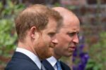 kaltak | Wharfe: Prens Harry kraliyet ailesine geri dönecek ve annesinin mirasını devam ettirecek mi?