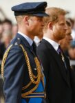 kaltak | Royalist: Kral Charles, Prens Harry'nin anıları için hâlâ çok endişeli
