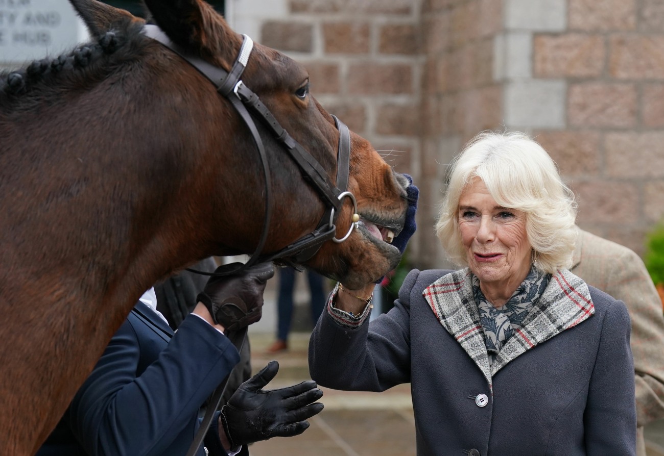 şirret | Kral Charles muhtemelen rahmetli annesinin ahırlarını Camilla'ya devredecek mi?