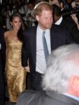 şirret | Sussexes'in sözcüsü: Kovalamacayı H&M'in düzenlediğini öne sürmek 'iğrenç'