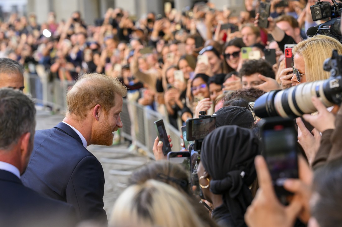 Nicholl: Prince Harry ‘looked very much an outsider over here in Britain’