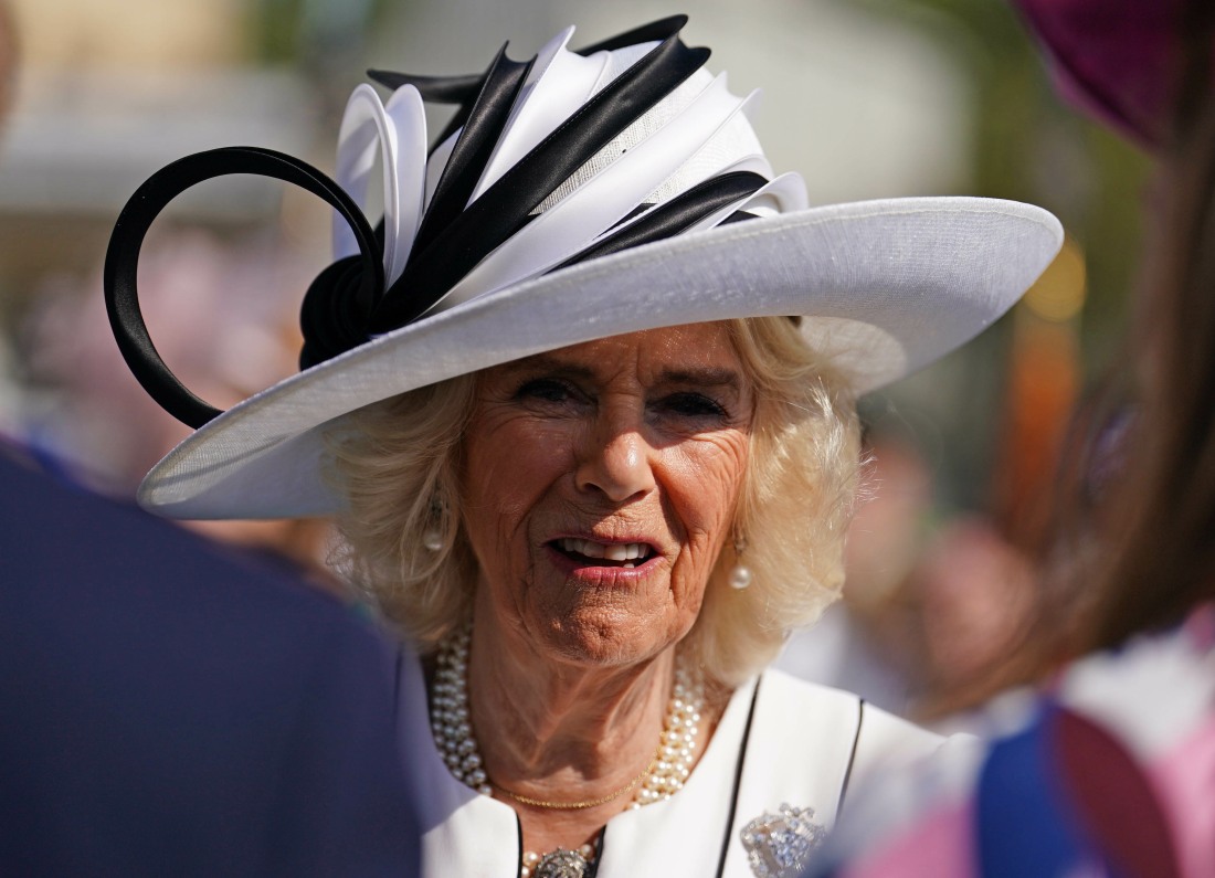 Royalist: Queen Camilla was the reason why King Charles refused to see Harry