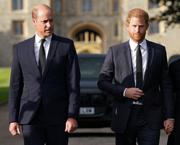 bitchy | Prince William ‘started grieving for his brother’ at the Sandringham Summit