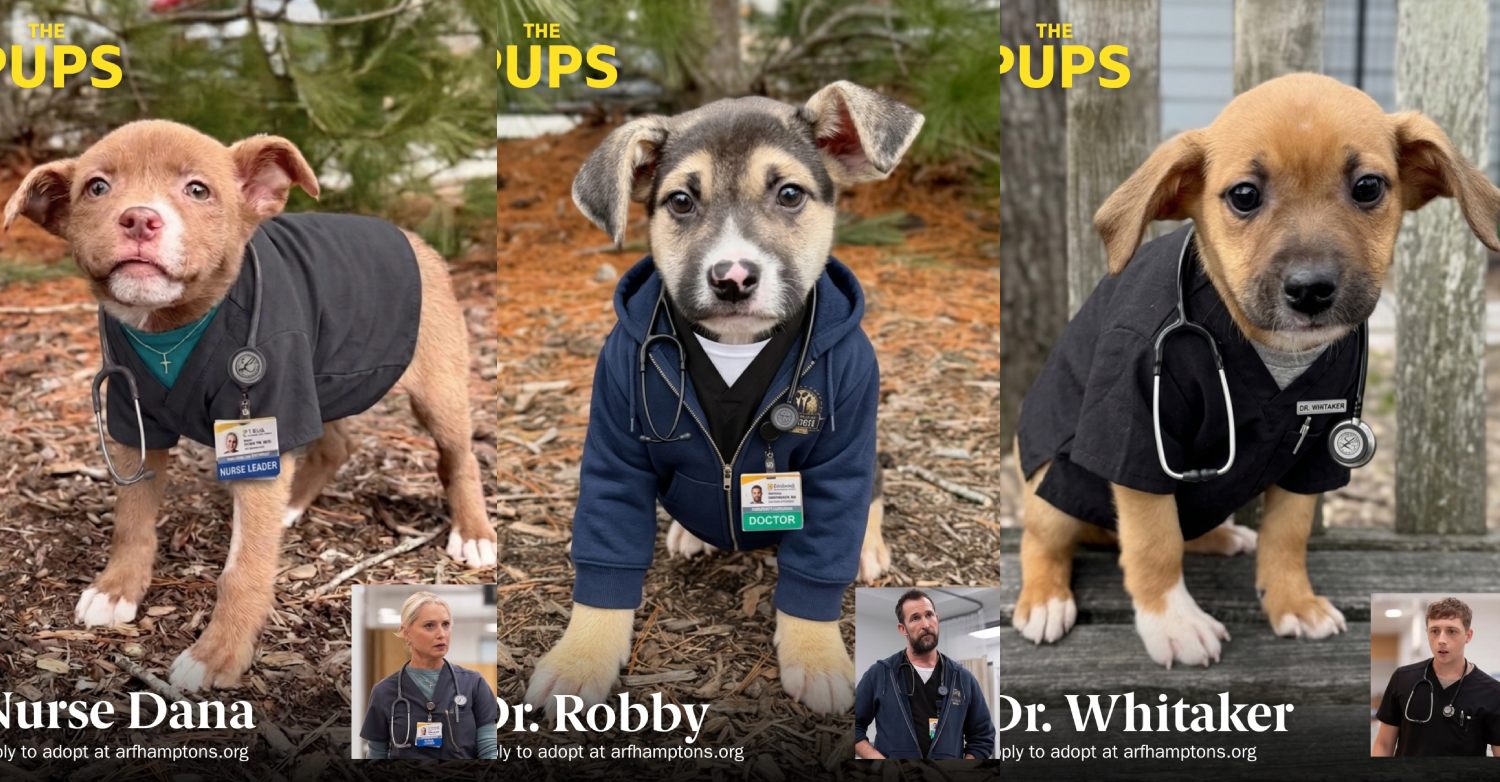Animal rescue transformed pit bull puppies into Pitt characters: acceptable use of AI?