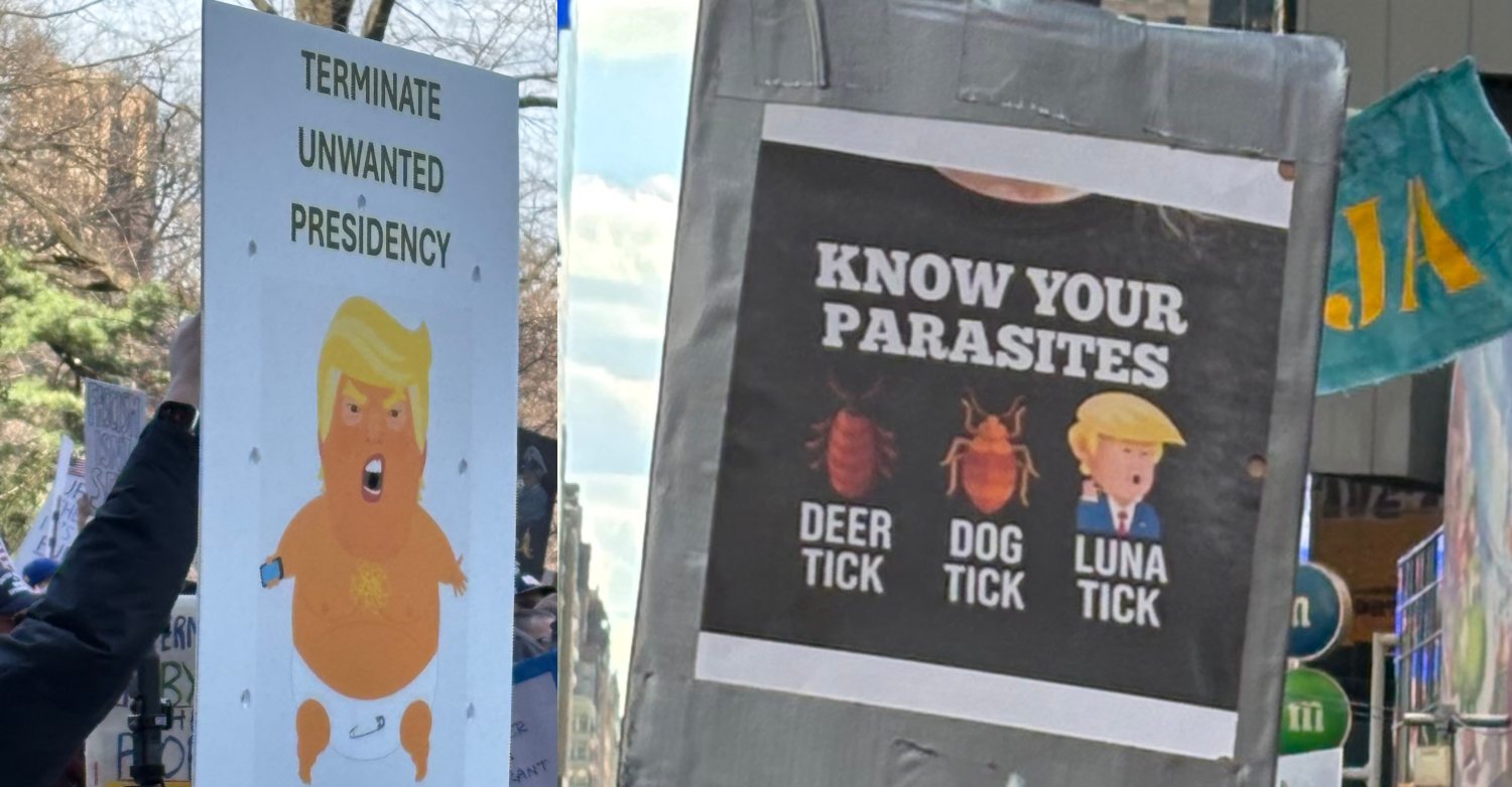 Signs at NY No Kings Protest that say terminate unwanted presidency and Know your ticks: Deer Tick, Dog Tick Luna Tick