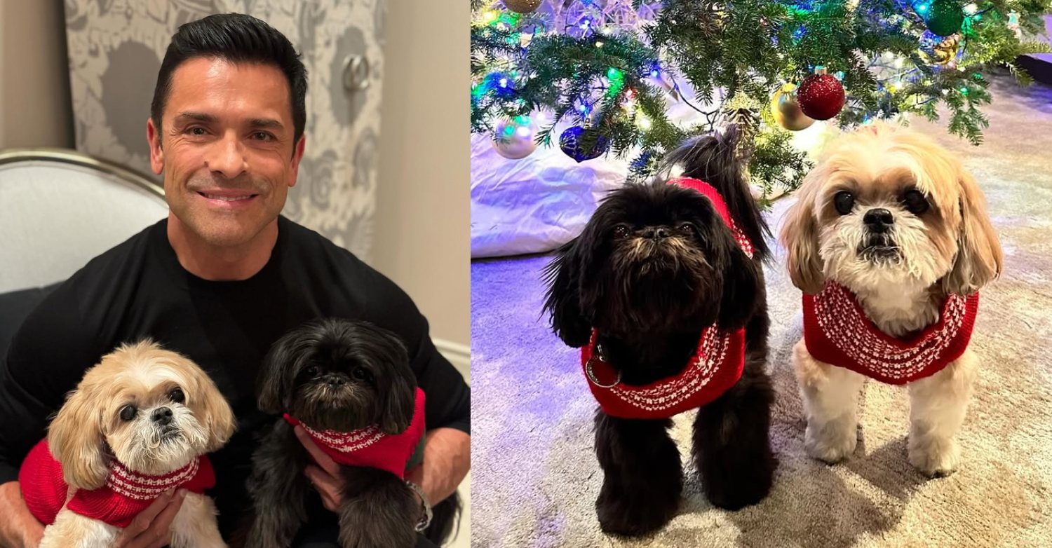 Mark Consuelos with dogs Lena and Chewie. Sadly Chewie, the fawn-colored dog, has passed away